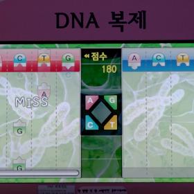 DNA 복제
