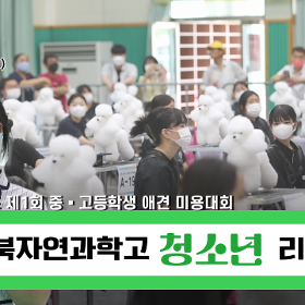[청소년리포터 영상] 경북자연과학고등학교-전국애견미용대회