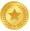금메달 아이콘
