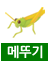 메뚜기