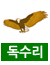 독수리