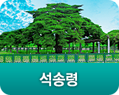 석송령