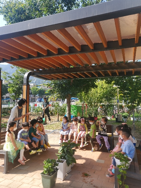 (성암초병설유) 유치원 텃밭에 심은 땅콩 캐기 체험 실시