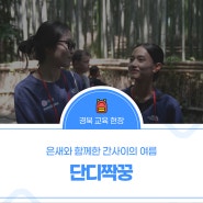 ☀️ 단디짝꿍 은새와 함께한 간사이의 여름 ☀️