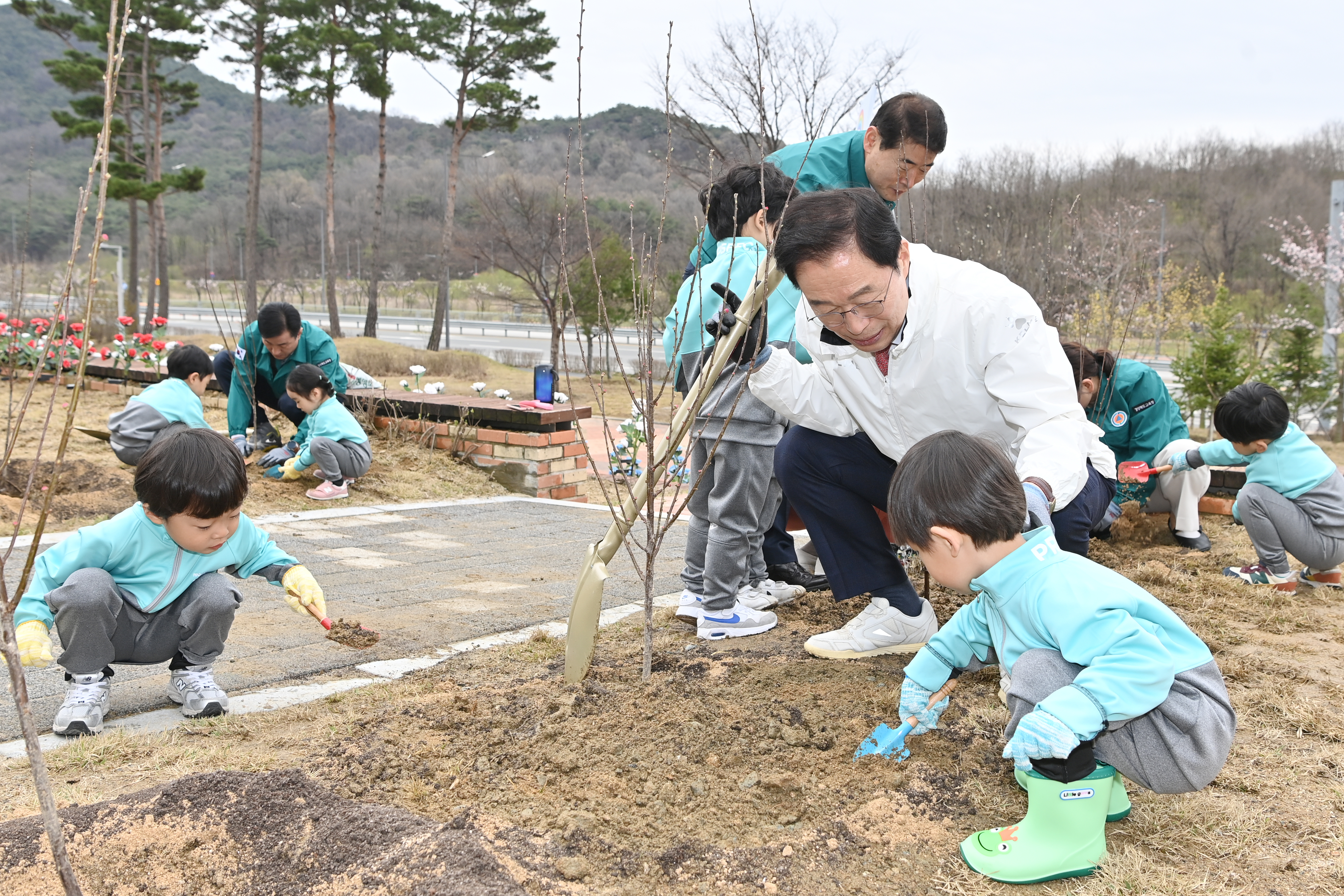 식목일을 맞아 어린이들과 나무심는 경상북도교육감을 촬영 한 사진  확대 보기
