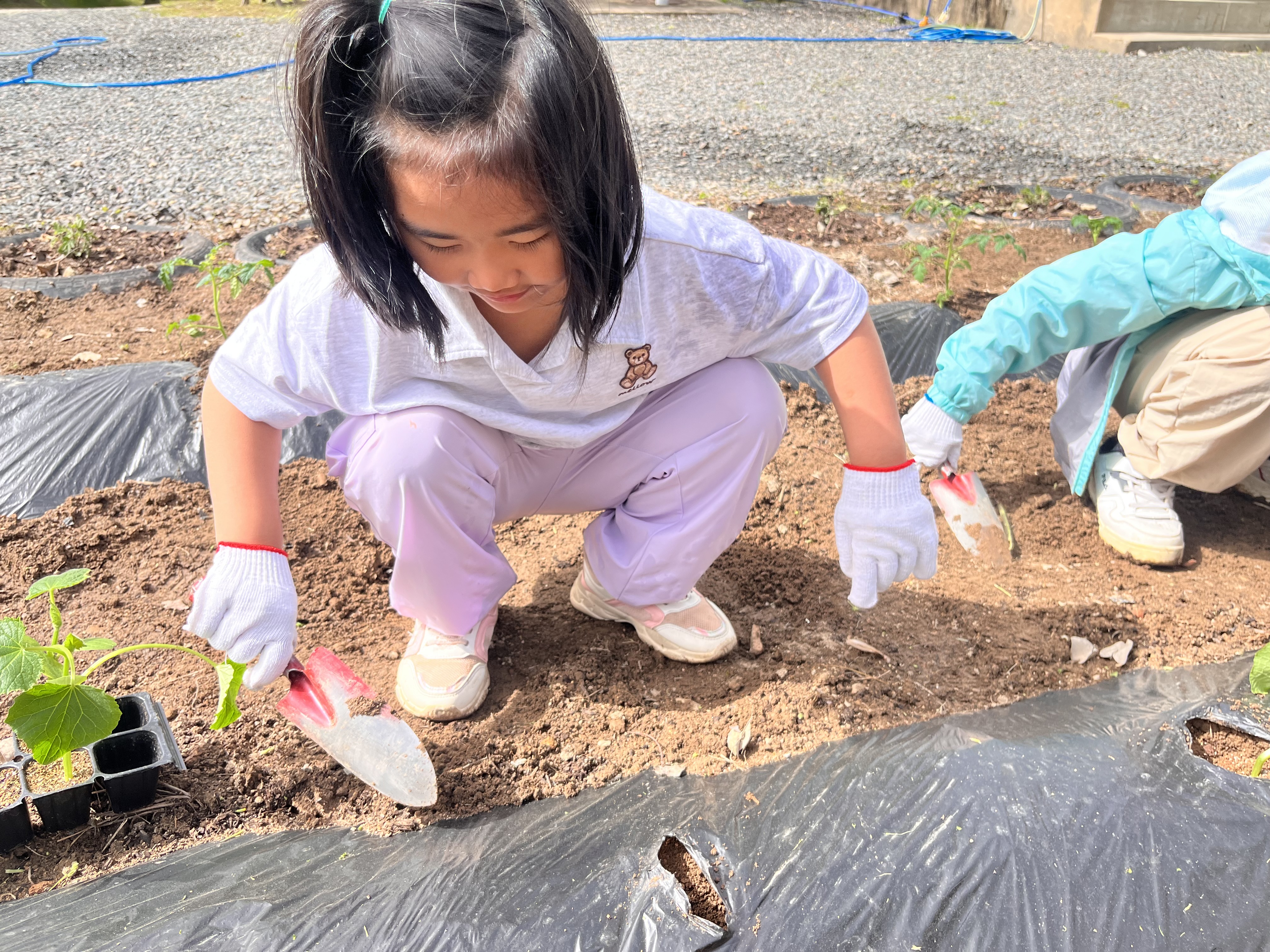 [자천초등학교]꼬마 농부들의 모종 심기 사진(1).jpg