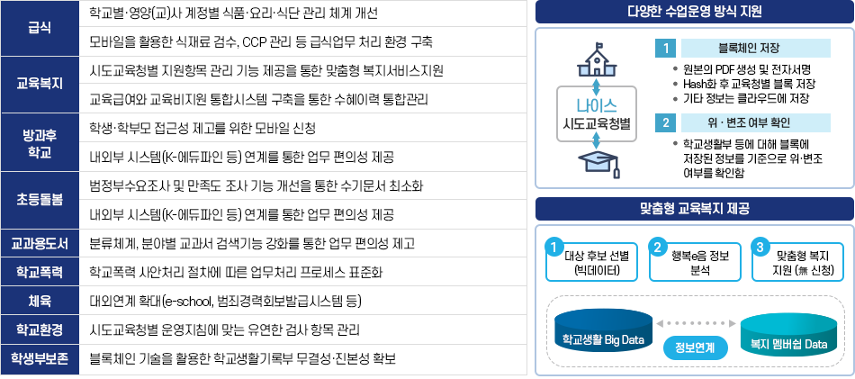 지능형 나이스 비전 및 목표