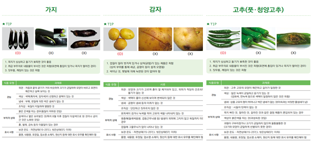 학교급식 식재료 검수관리 : 가지, 감자, 고추  검수 이미지