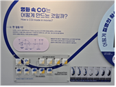 영화 속 CG는 어떻게 만드는 것일까? (영화 속 수학)