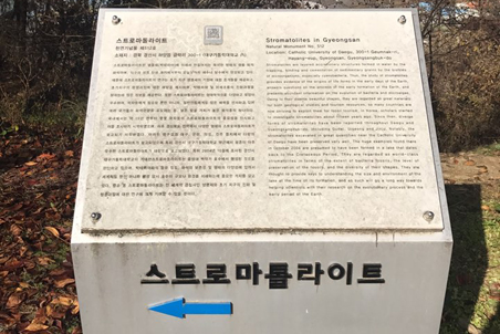 스트로마톨라이트