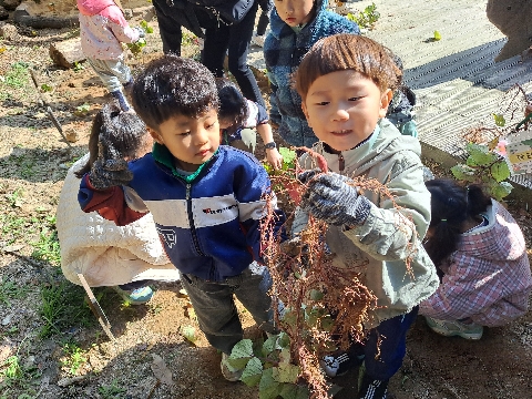[지천초병설유치원] 놀이로 만난 숲에서 힐링하기
