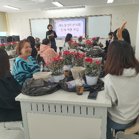 [왜관중앙초] - 학부모교육 참여 활성화 및 소통의 장 마련 - 원예체험교실 실시