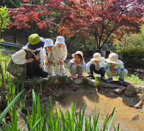 [인평초병설유치원] 자연이랑 친구했어요! 숲 속 체험 이야기