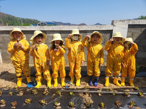 [파천초병설유치원] 고사리 손으로 함께 가꿔요!