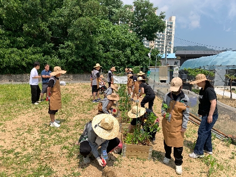 마을품이 함께 키우는 돌봄농장학교_6회차(0609)