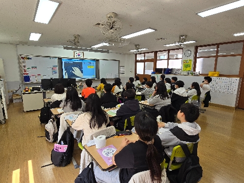 (봉황초) 디지털 시대 시민으로서 필요한 역량을 길러요 