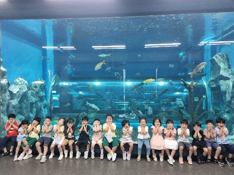 [문경초병설유] 충북아쿠아리움과 곤충전시관에서 자연을 만나다