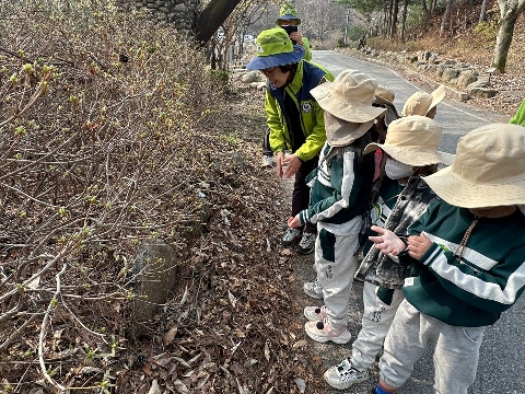 [영순초병설유]불정 유아숲체험원