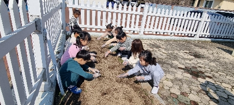 [산북초병설유]꽃이 피는 아름다운 산북유치원