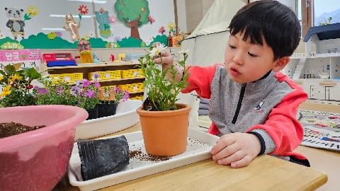[가은초병설유치원]작은 손으로 키우는 생명의 기쁨