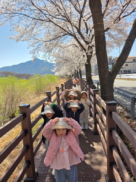 [가은초병설유치원]웃음꽃 핀 벚꽃길 걷기