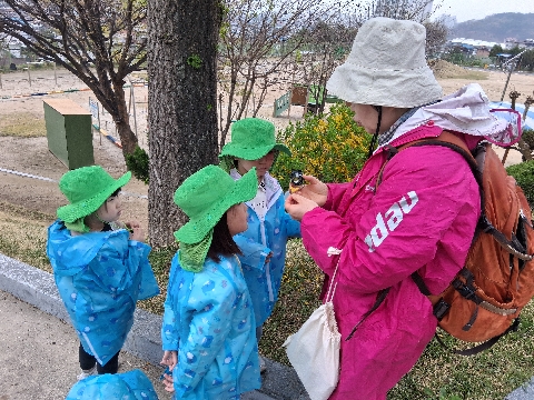 [점촌중앙초병설유] 유-초 이음교육활동 숲놀이 실시