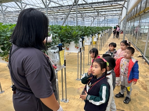 [영순초병설유]새콤달콤 봄 딸기로 수확부터 나눔까지 실천해요