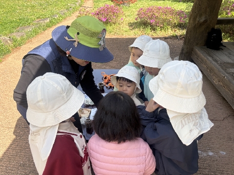 [당포초병설유]아름다운 우리 지역 숲에서 오감으로 배워요!