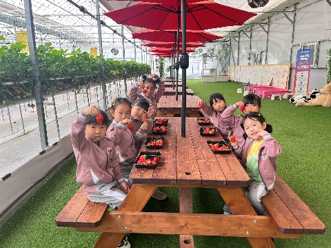 [동로초병설유]딸기 따기 체험학습