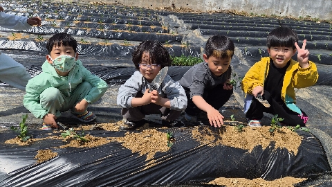 [문경초병설유치원] 텃밭에서 함께한 생태 체험