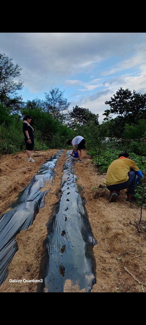 제출과제 삭제로,,추억쌓기  사진  탑재합니다^^