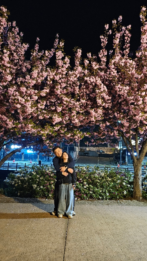 가족들이 봄을 느끼는 활동(벚꽃구경)