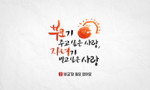 12월 한 해의 갈피에서 사랑과 성장의 기록 