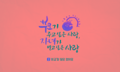 12월 한 해의 갈피에서 사랑과 성장의 기록 