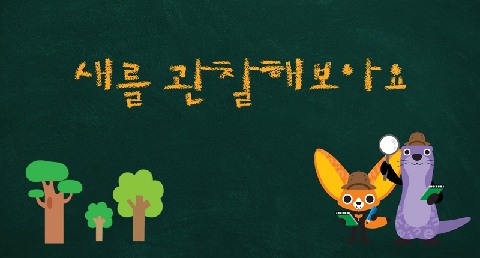 2026년 9월의 추천강좌 - 새를 관찰해 보아요