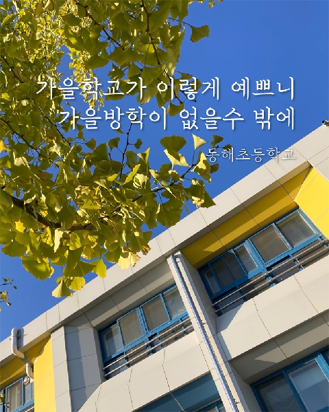 동해초등학교 [배움이 무르익는 학교] (강원 동해)