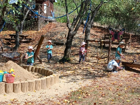 안평초병설유치원 - "몸과 마음이 자라는 숲 속 배움터" 숲 체험 프로그램 운영