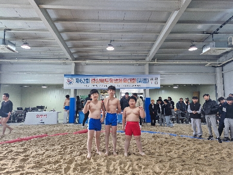 씨름 명문 의성초, 경북학생체육대회서 1·2·3위 쾌거