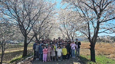 비안초- 벚꽃 흩날리는 길 위에서 "사제지간의 정" 쌓아