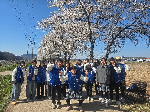 탑리여중-2026 행복학교 봄꽃길 걷기-탑리여자중학교 봄꽃의 향기아래 함께 걷다.
