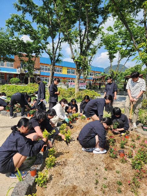 탑리여중-2026학년도 통일교육주간 ‘퀴즈로 통일 상식 쑥쑥, 화초로 평화 한가득’