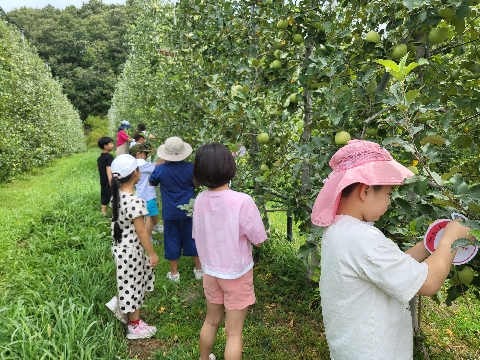 금성초-방학 중 지역 교육기관과 연계한 우당탕탕, 사과밭 탐험대 현장체험 실시