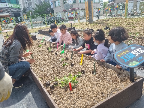 포은초병설유, 고사리손으로 일구는 초록빛 꿈
