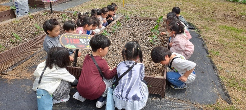 [포은초병설유] 고사리손으로 일구는 초록빛 꿈
