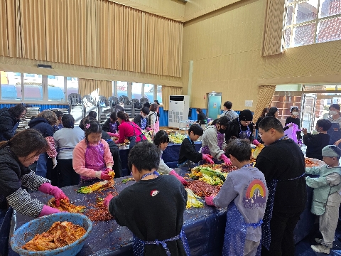 [용궁초] 전교생이 함께하는 김장체험 실시