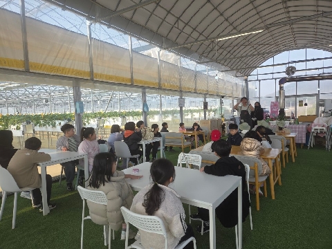 [지보초등학교병설유치원] 빨갛게 익은 봄을 한 입 가득, 딸기 농장 나들이