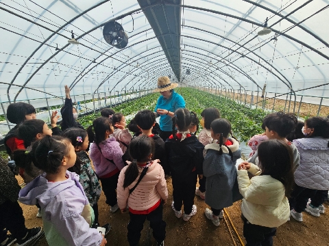 [새벗유치원] 2026학년도 놀이 연극 관람(내 친구 어린 왕자)