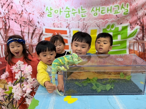 [호명라온유치원] 찾아오는 동물원 체험