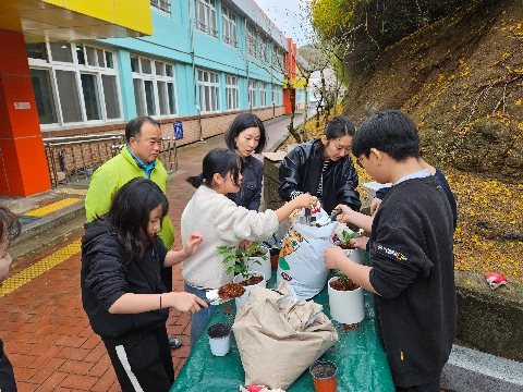 [용궁초] 반려식물과 함께하는 작은 숲 만들기