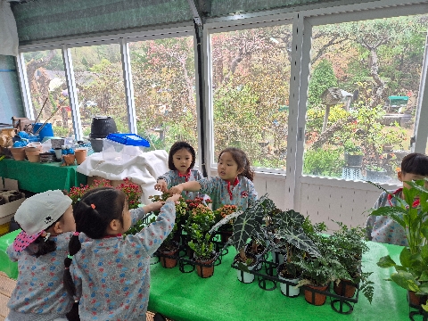 [호명라온유치원] 신라식물원